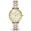 Vogue New Bliss Two Tone Stainless Steel Bracelet